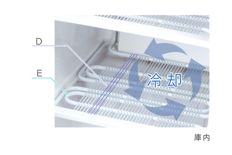 ワイヤーフィン と チューブ直冷式蒸発器　庫内